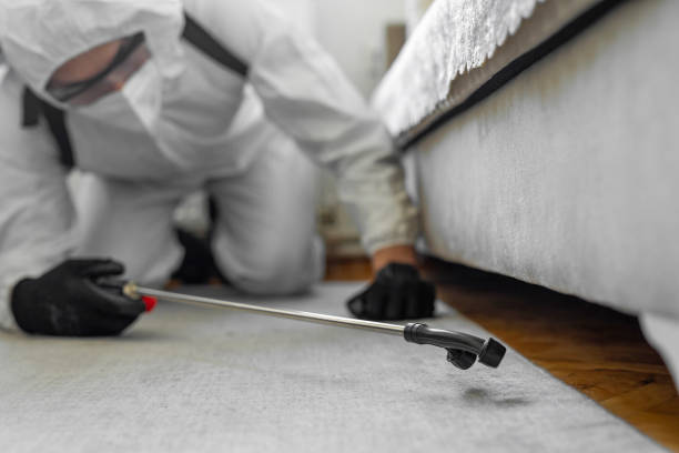 Professional Ant Control technician working in Polk County County, NC